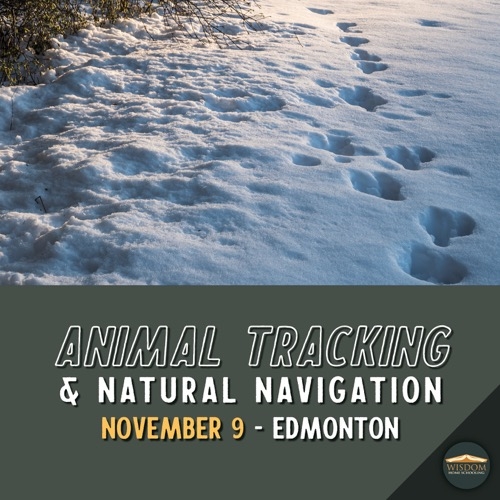 Animal Tracking and Natural Navigation - Edmonton <span>E1175</span>